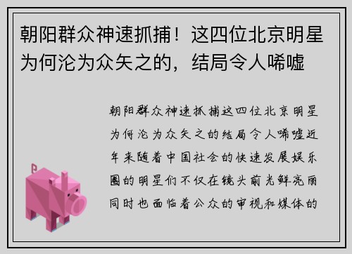 朝阳群众神速抓捕！这四位北京明星为何沦为众矢之的，结局令人唏嘘