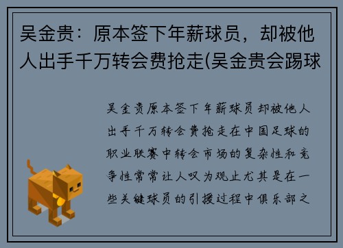 吴金贵：原本签下年薪球员，却被他人出手千万转会费抢走(吴金贵会踢球吗)