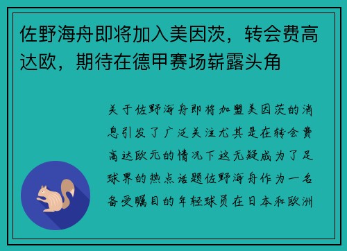 佐野海舟即将加入美因茨，转会费高达欧，期待在德甲赛场崭露头角